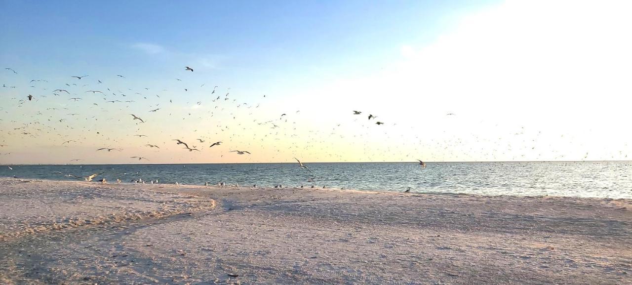 Sunset Vistas 407S Villa St. Pete Beach Bagian luar foto