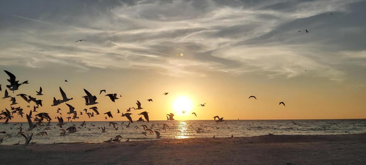 Sunset Vistas 407S Villa St. Pete Beach Bagian luar foto